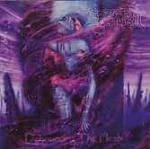 Infliction (USA) : Denouncing the Flesh